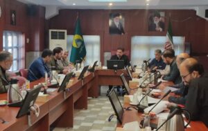 دومین نشست کمیته بازرسی‌ و ارزیابی عملکرد ستاد اربعین حسینی شهرستان ری برگزار شد