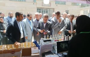 آئین افتتاح دومین جشنواره مهر گلاب استان تهران باحضور مسئولین در شهرستان ری برگزار شد